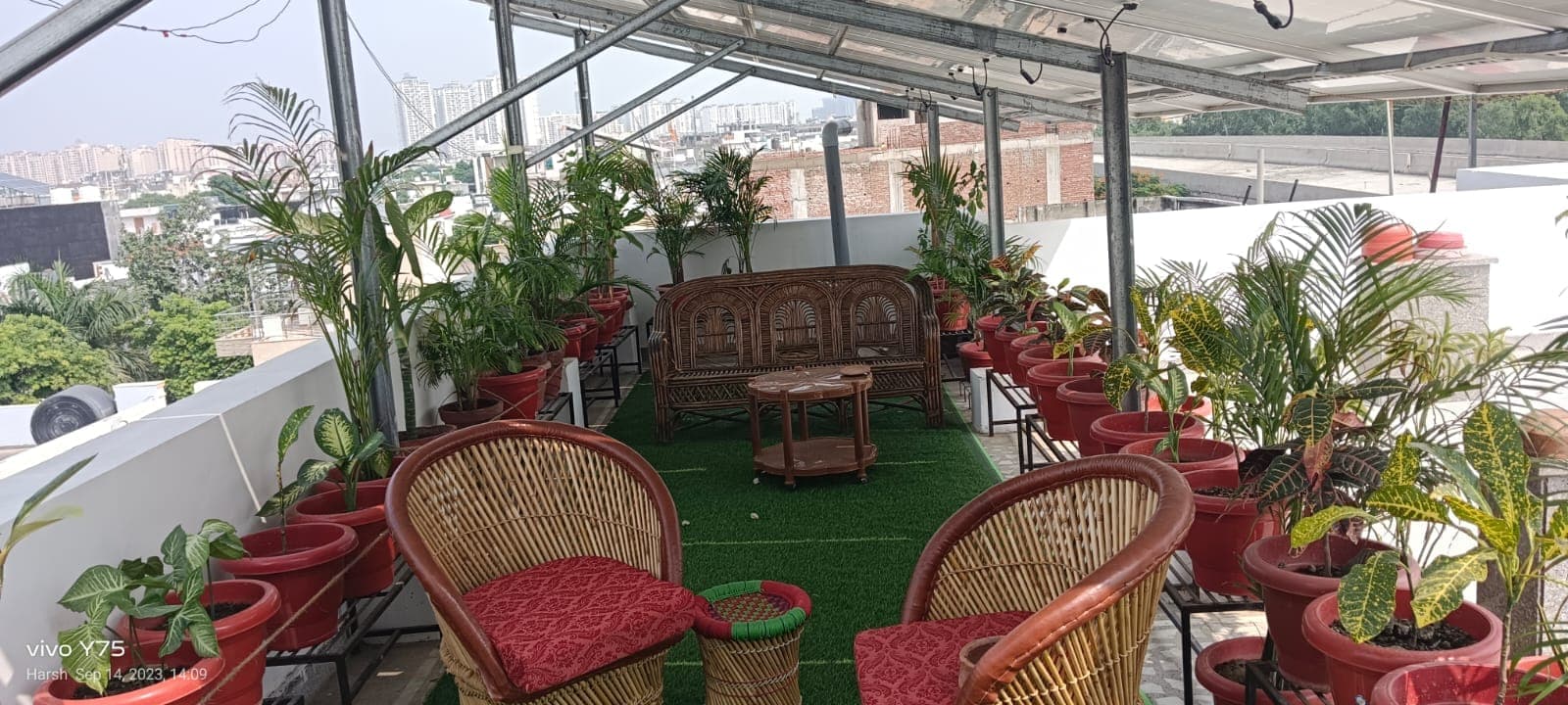 Cane sofa and chairs among potted plants on a rooftop terrace shaded by a steel-framed solar panel canopy.