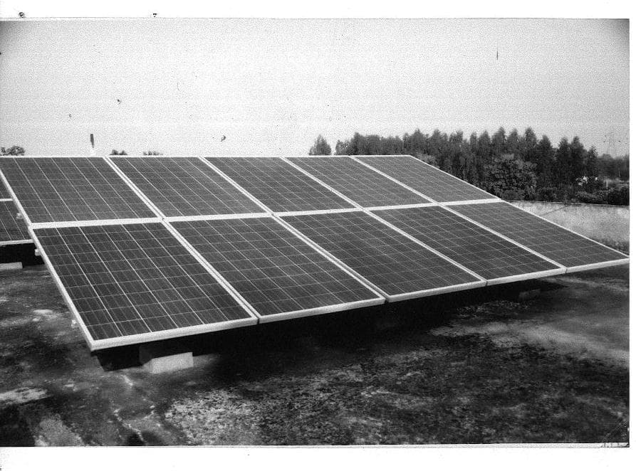 Two rows of solar panels on a low mounting structure on a flat concrete roof, with trees beyond the parapet wall; black and white photograph.